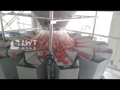 Mesin Pengemasan Vakuum Termoforming Otomatis