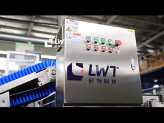 Mesin Cuci Gelembung Sayuran Buah