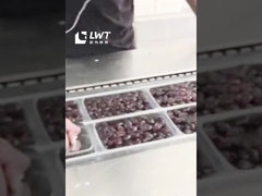 Rangkaian produksi kemasan tanggal Mesin kemasan vakum film peregangan tanggal otomatis