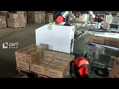 Robot Palletizer Untuk Kotak Palletizing Robot Palletizing Sistem Palletizing Pindah Robot