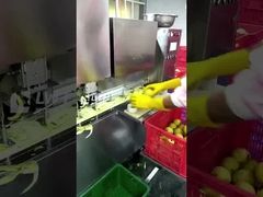 Jalur Produksi Buah Kaleng Leadworld Jalur Pengolahan Pir Kaleng