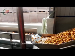 Jalur Produksi Buah Kaleng Leadworld Jalur Pengolahan Jeruk Kaleng