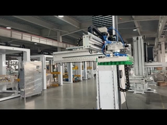 Palletizer Karton Otomatis
