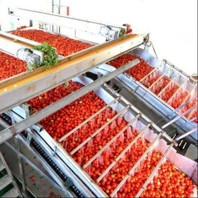 Garis produksi kaleng multifungsi untuk tomat kaleng dari Leadworld Industrial